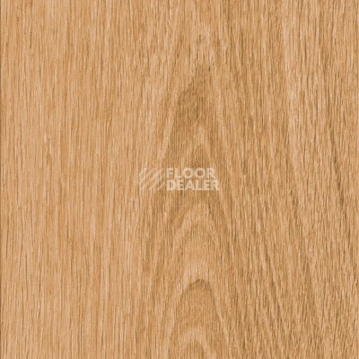 Кварцвиниловые полы Invictus Maximus Plank 2.5 мм Highland Oak Classic фото 1 | FLOORDEALER